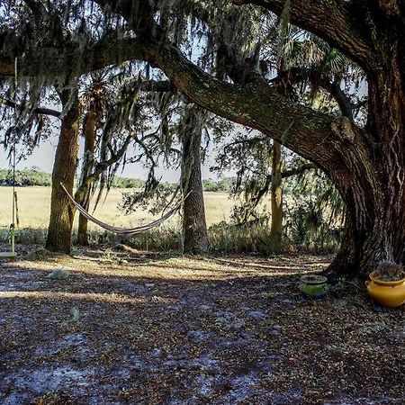 Secluded Tiny House By The Marsh With Hunting Island Beach Pass Frogmore Esterno foto