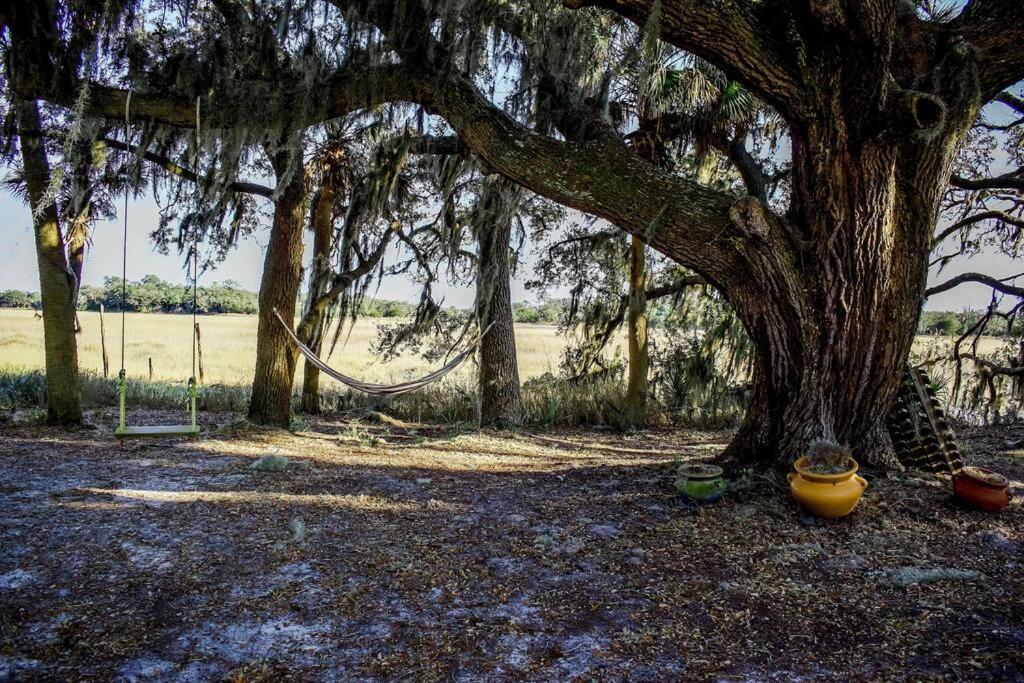 Secluded Tiny House By The Marsh With Hunting Island Beach Pass Frogmore Esterno foto